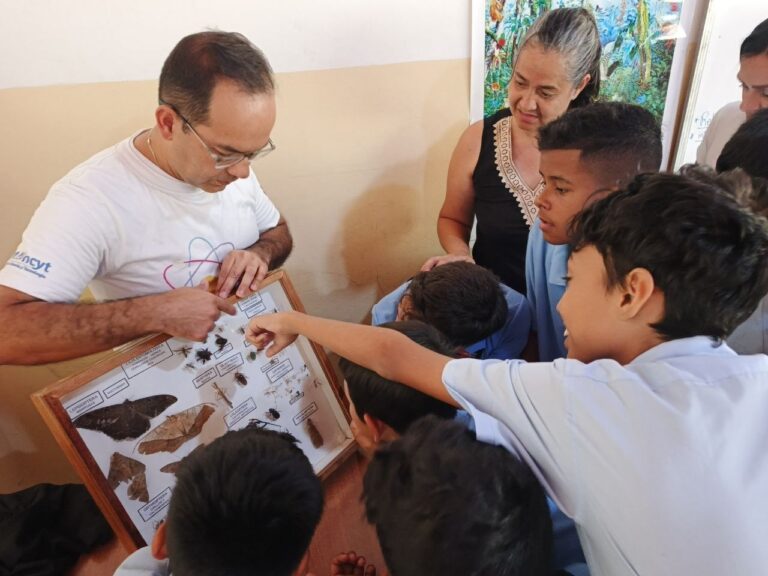 Plan Territorial del Programa Nacional Semilleros Científicos despliega su octava jornada en Mérida