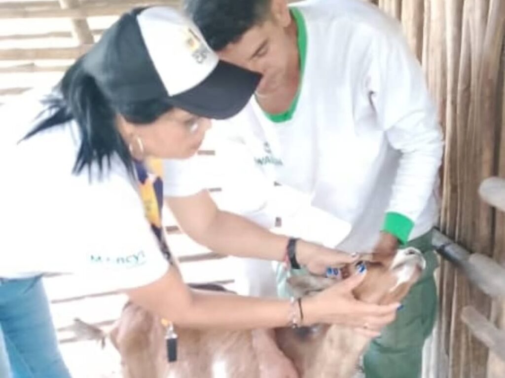 SaveClip.App_572160097_18347450098167195_3441460260565685947_n