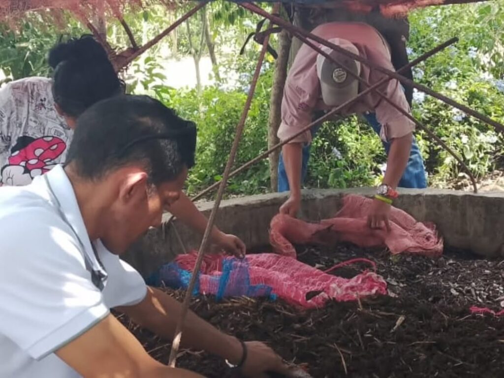 SaveClip.App_572480317_18347450146167195_5326167094099213249_n