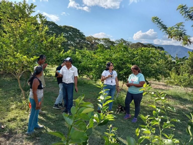 Productores de Yaracuy reciben acompañamiento técnico