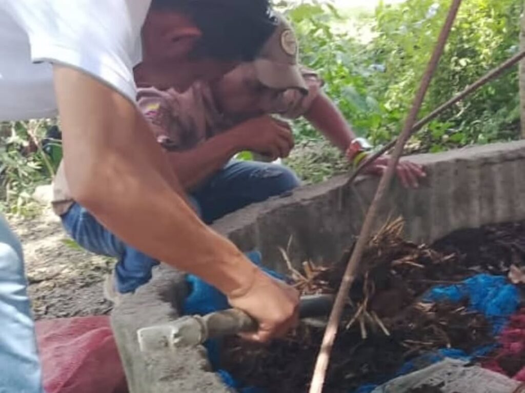 SaveClip.App_573961211_18347450125167195_8478928650080794022_n