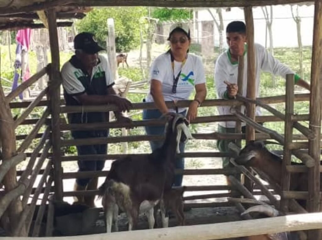 SaveClip.App_574181989_18347450128167195_5308263106706024438_n