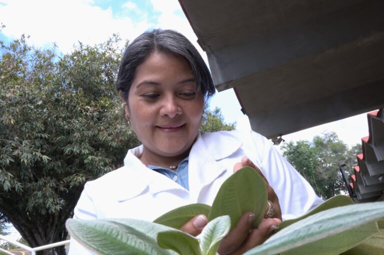 aafca4f0-2343-45f7-af50-3bfdebf3caa1