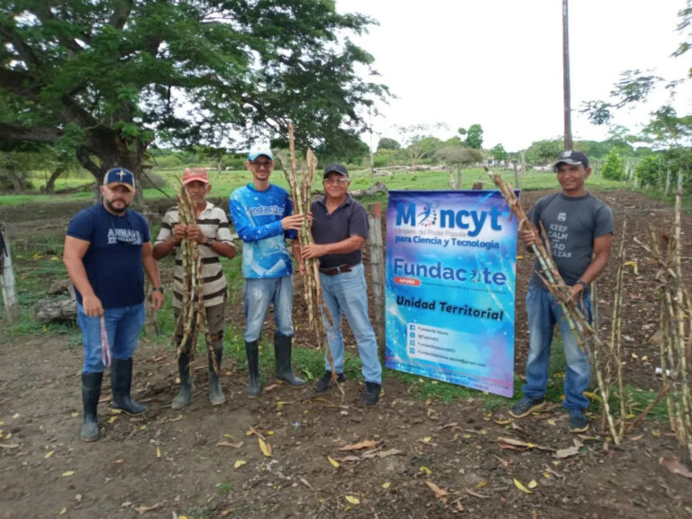 Redes Socialistas de Innovación Productiva fortalecen la producción bovina en Apure
