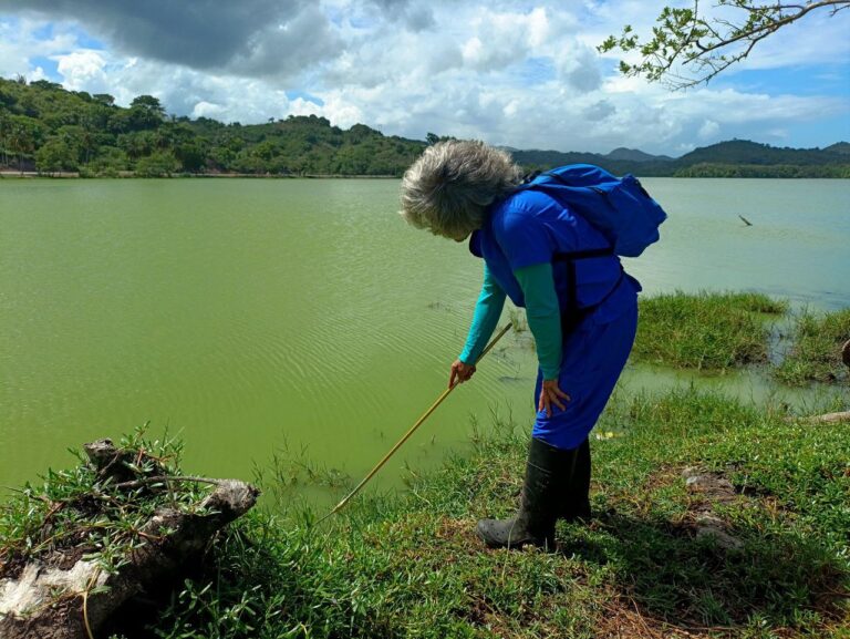 Sucre | Plan para el Control Integrado de Vectores se despliega en comunidades del municipio Bermúdez