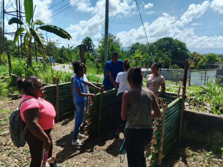 Productores de Miranda se capacitan en manejo agroecológico del cacao con el Cenidic