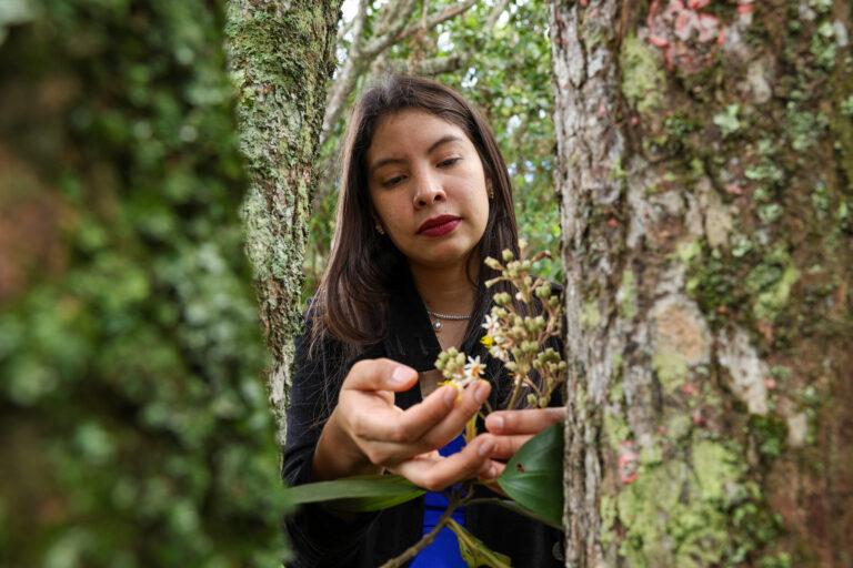 Daniela Canelón: guardiana de la flora venezolana