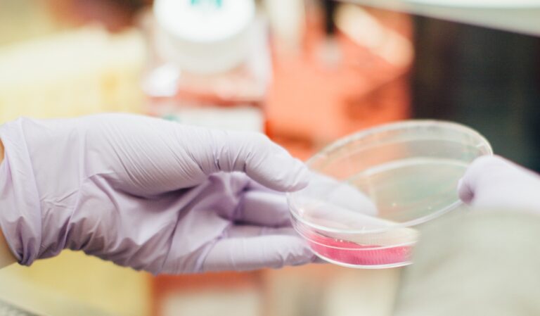 Descubren huella genética en el centro de Argentina de hace más de 8.500 años, vigente en las nuevas generaciones