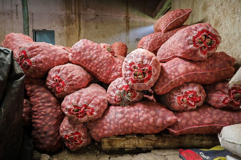 mincyt.articulociencia