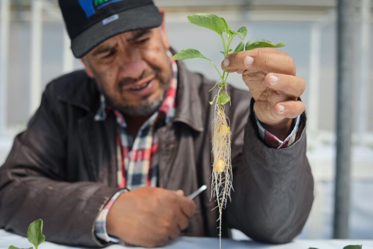 mincyt.articulociencia1