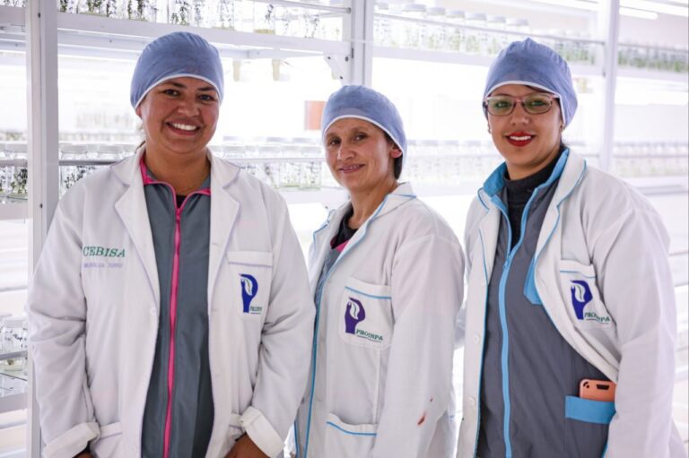 La ciencia nuestra y la soberanía como epifanías