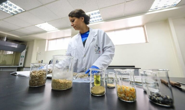 mincytdiadelaquimicaapoyo