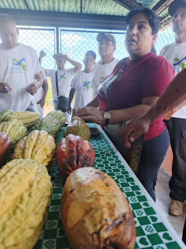 photo_2025-10-31_14-25-56 (2)