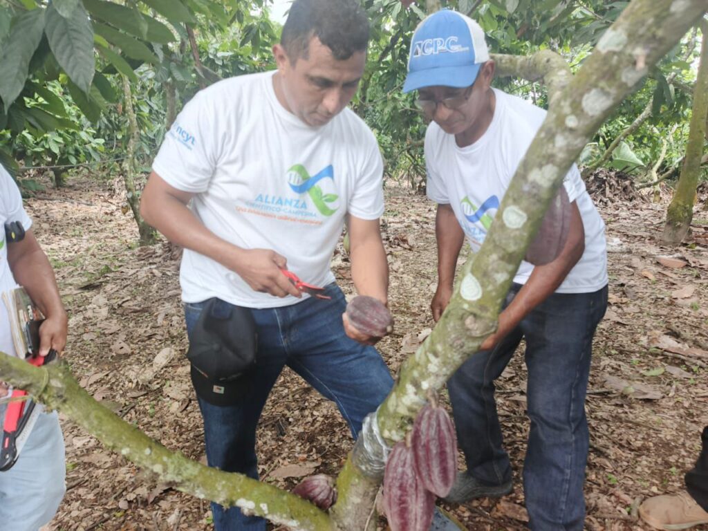 photo_2025-10-31_14-25-58 (4)