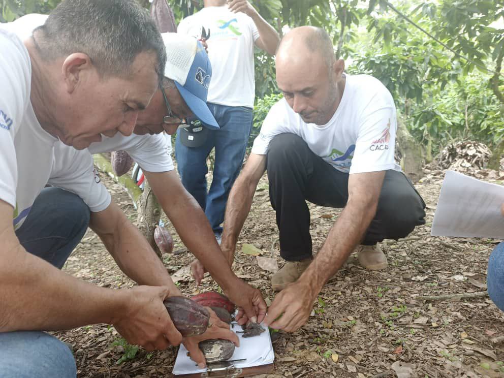 photo_2025-10-31_14-25-58 (6)