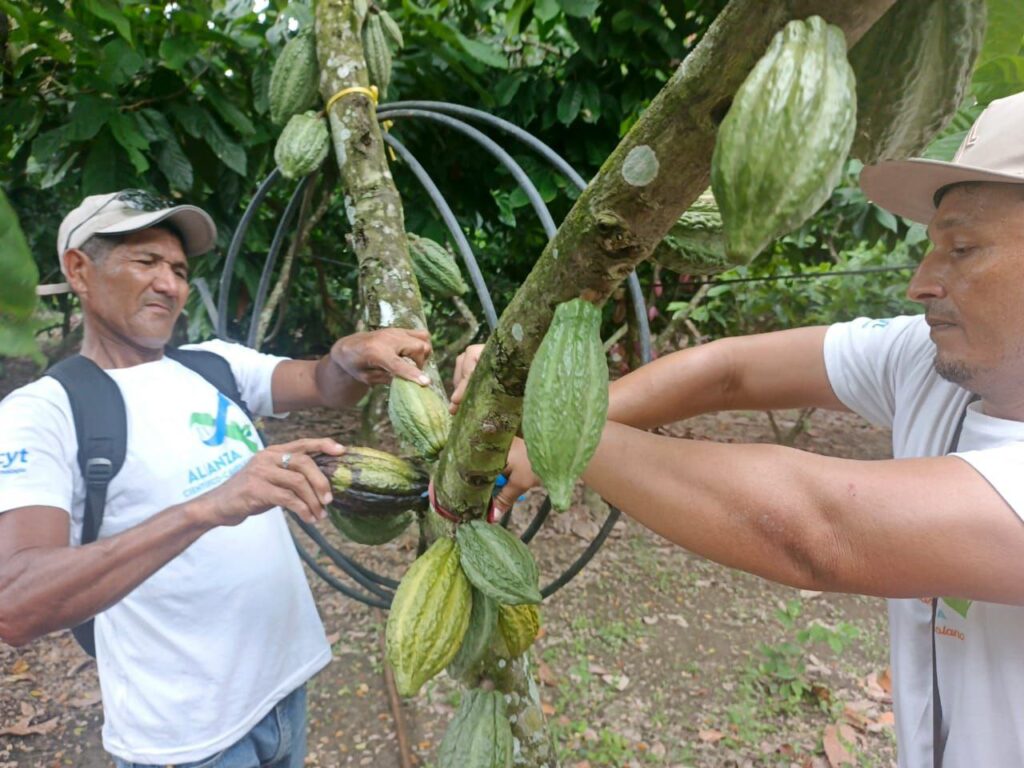 photo_2025-10-31_14-25-58 (7)