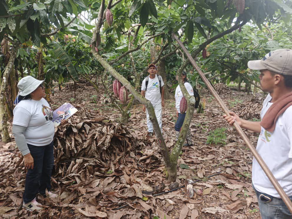 photo_2025-10-31_14-25-58