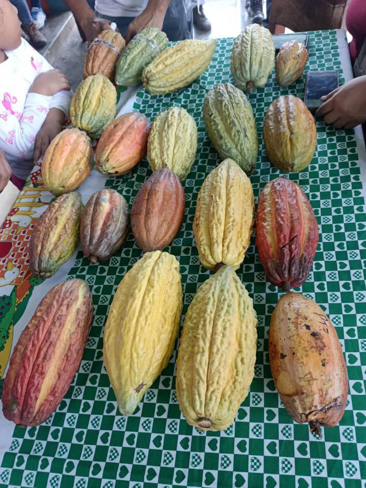 photo_2025-10-31_14-25-59