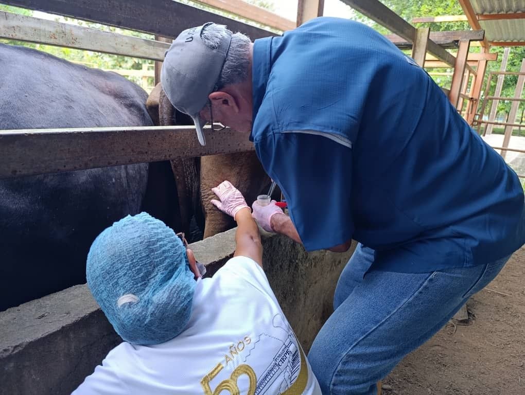 photo_2025-11-19_12-16-27