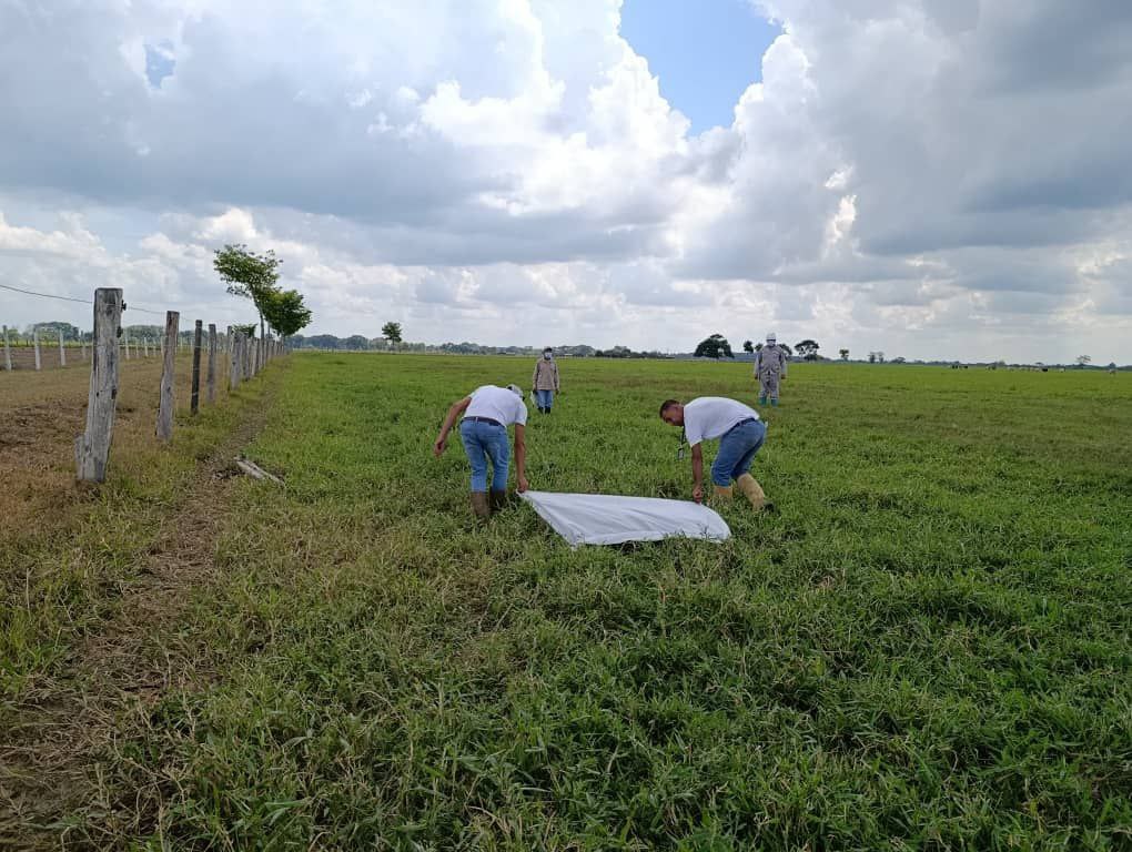 photo_2025-11-19_12-17-07