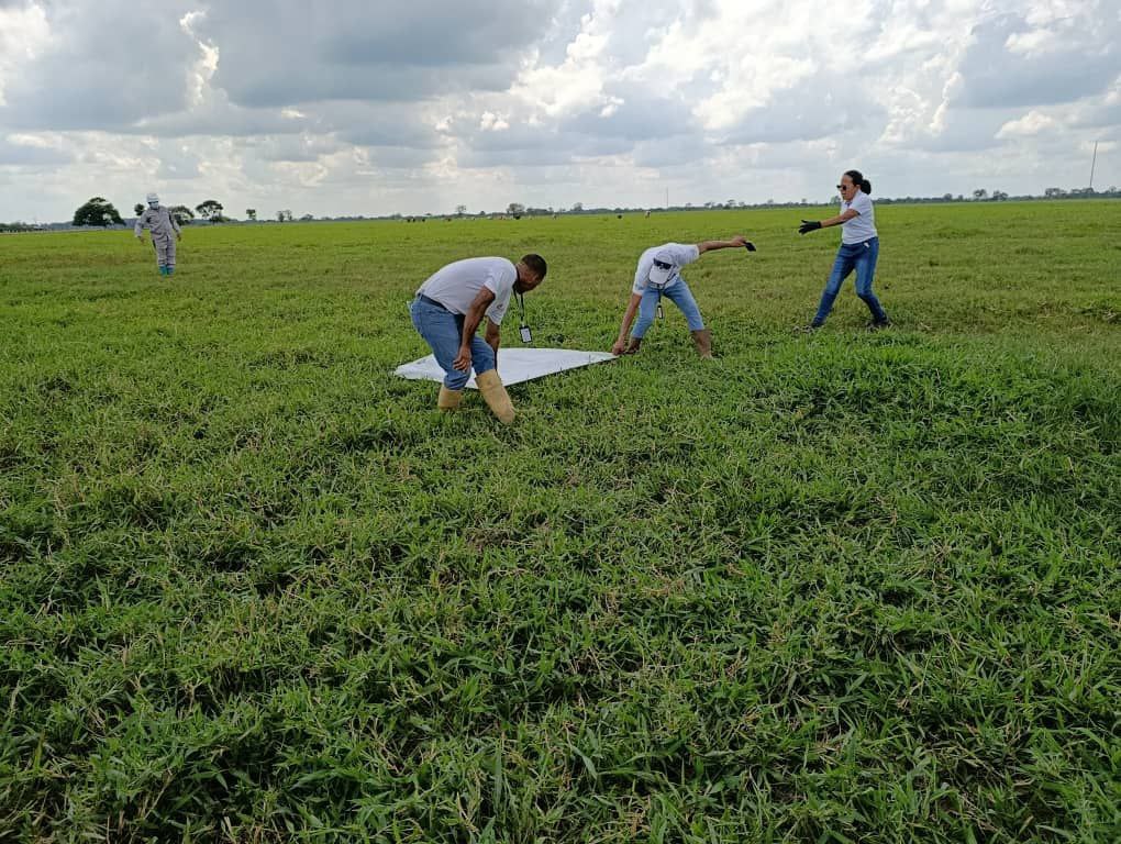 photo_2025-11-19_12-17-10