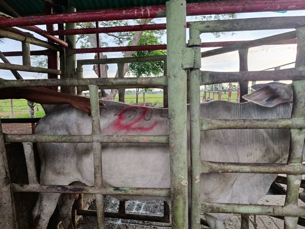 photo_2025-11-19_12-17-50 (2)