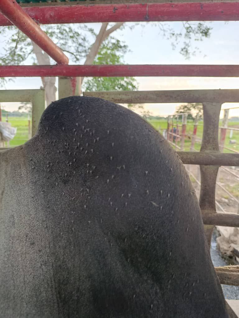 photo_2025-11-19_12-17-50