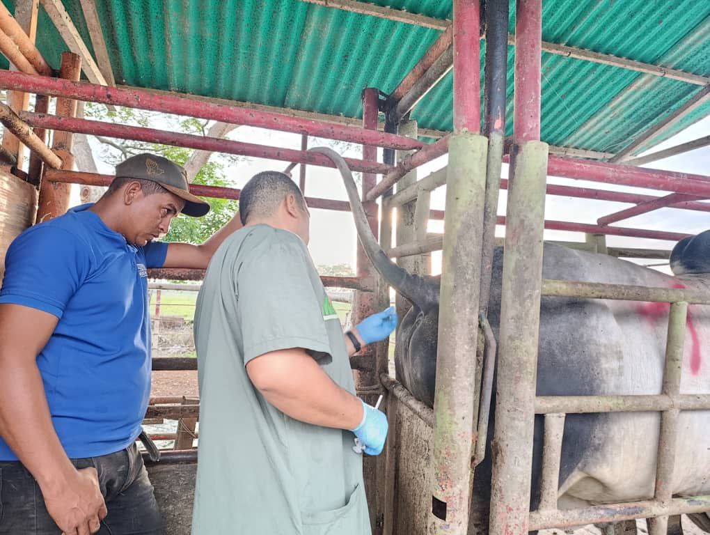 photo_2025-11-19_12-18-34