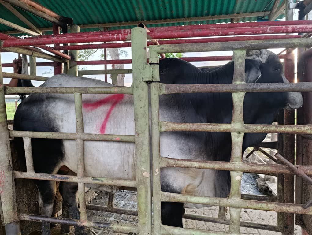 photo_2025-11-19_12-18-47