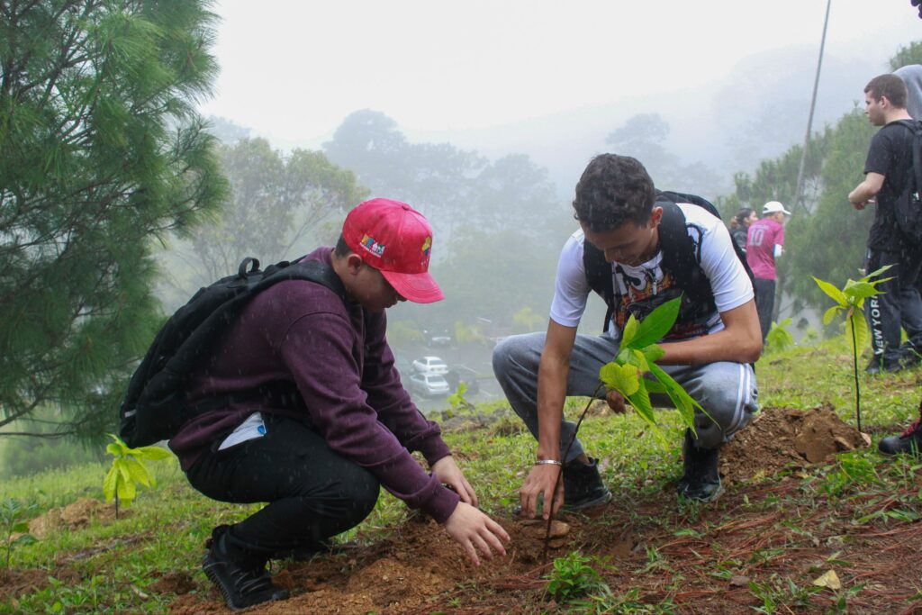 photo_2025-11-26_12-10-36