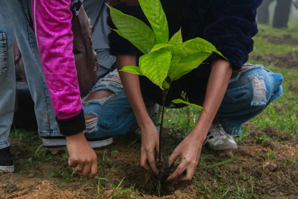photo_2025-11-26_12-10-36 (2)