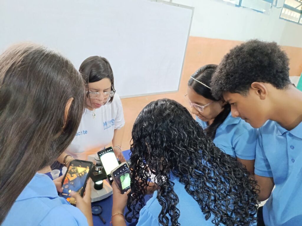 photo_4911500587556342556_y