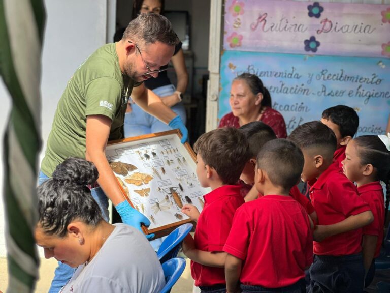 photo_4972528031268277048_y