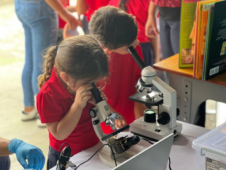 photo_4972528031268277049_y