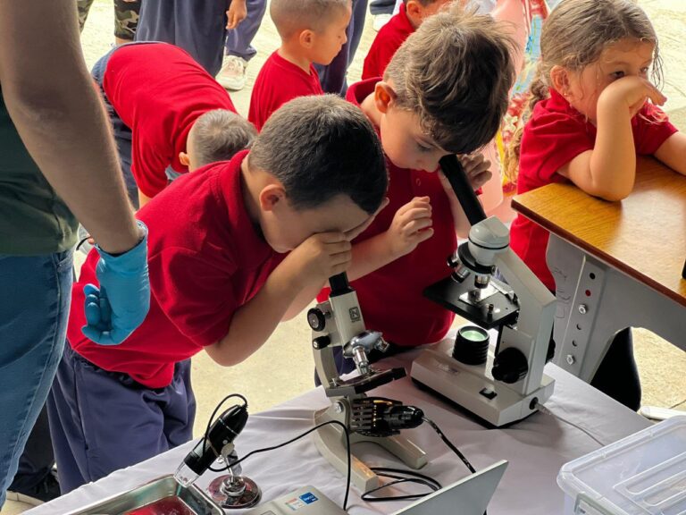 photo_4972528031268277052_y