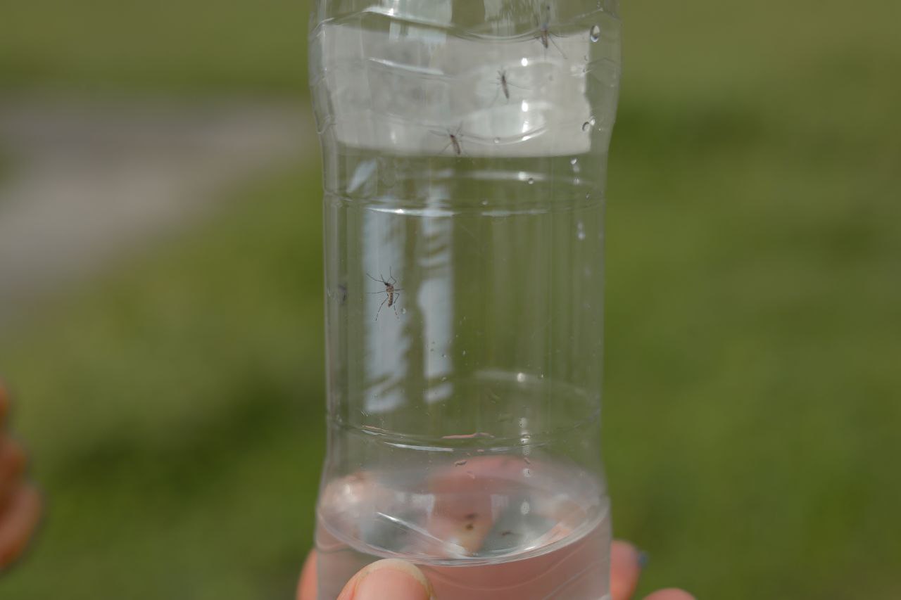 ABAE cuenta con tecnología satelital para prevenir y controlar patrones de distribución del dengue