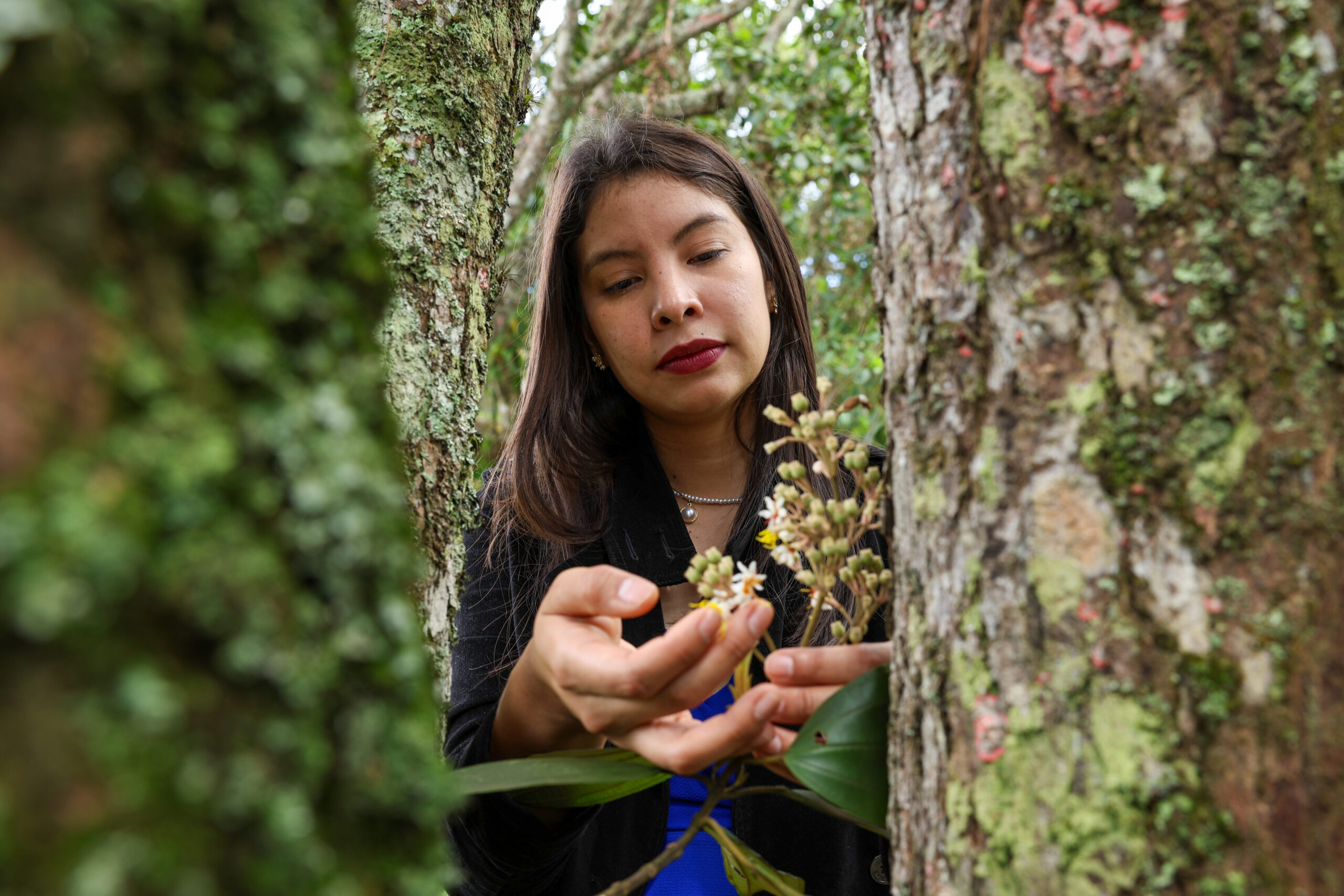 Daniela Canelón: guardiana de la flora venezolana