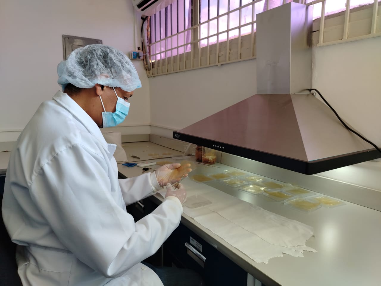 Inzit empaqueta apósitos de quitosano para pacientes con quemaduras