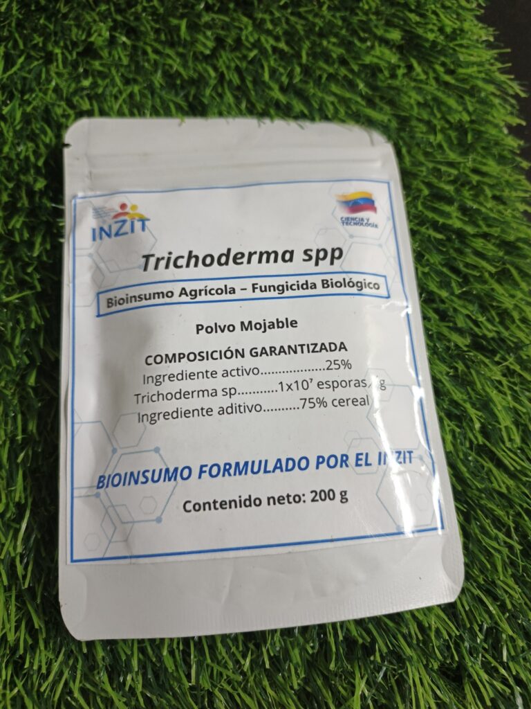 0-2976x3968-0-0-{}-0-12#