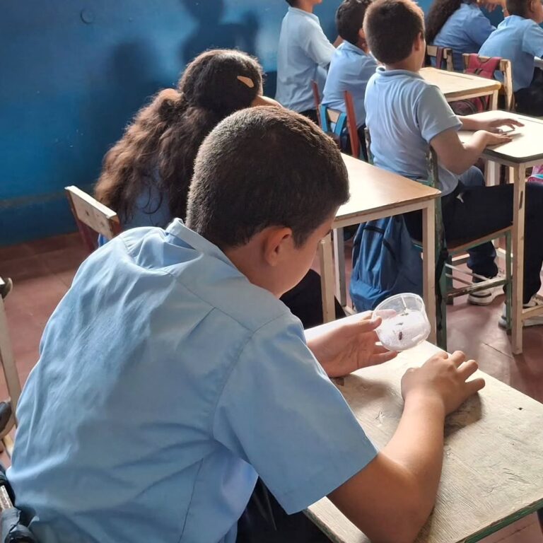 SaveClip.App_588218942_18220458892308300_6518145348313707786_n