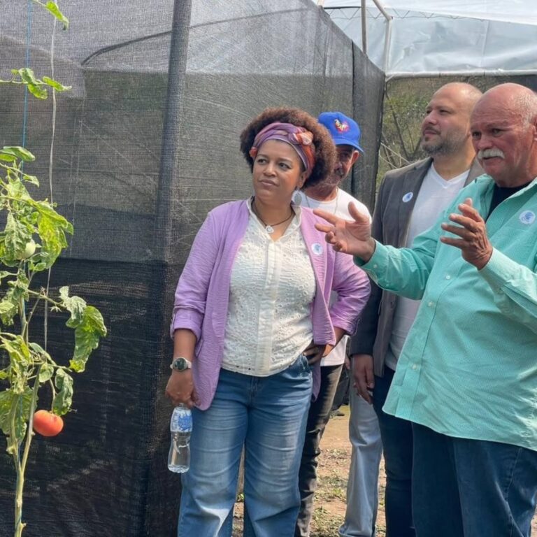 SaveClip.App_589204993_18088590787945782_4352585195075900848_n