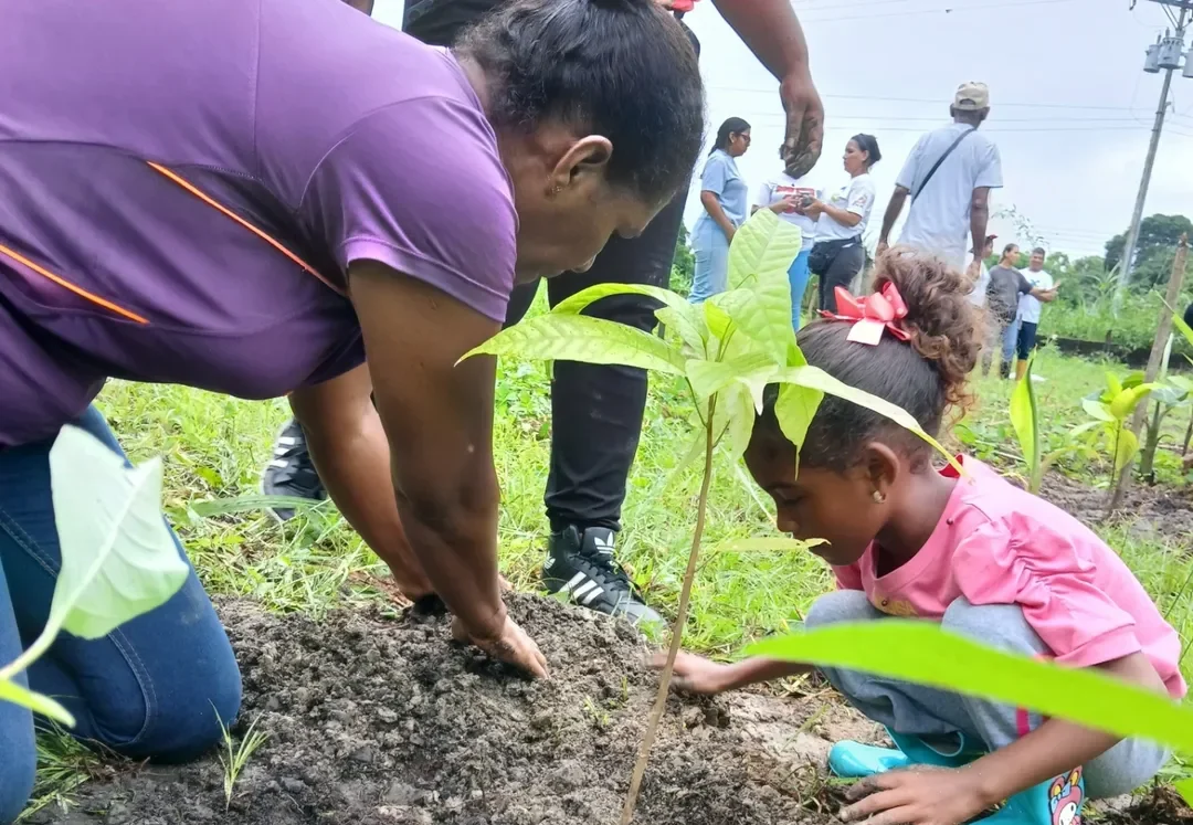 Productoras del estado Miranda impulsan soberanía científica y agrícola con cacao
