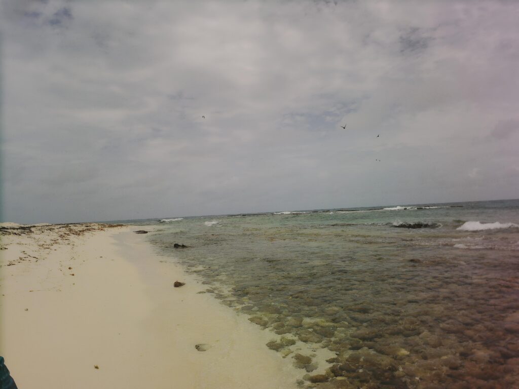 Video.Guru_20251204-115050508