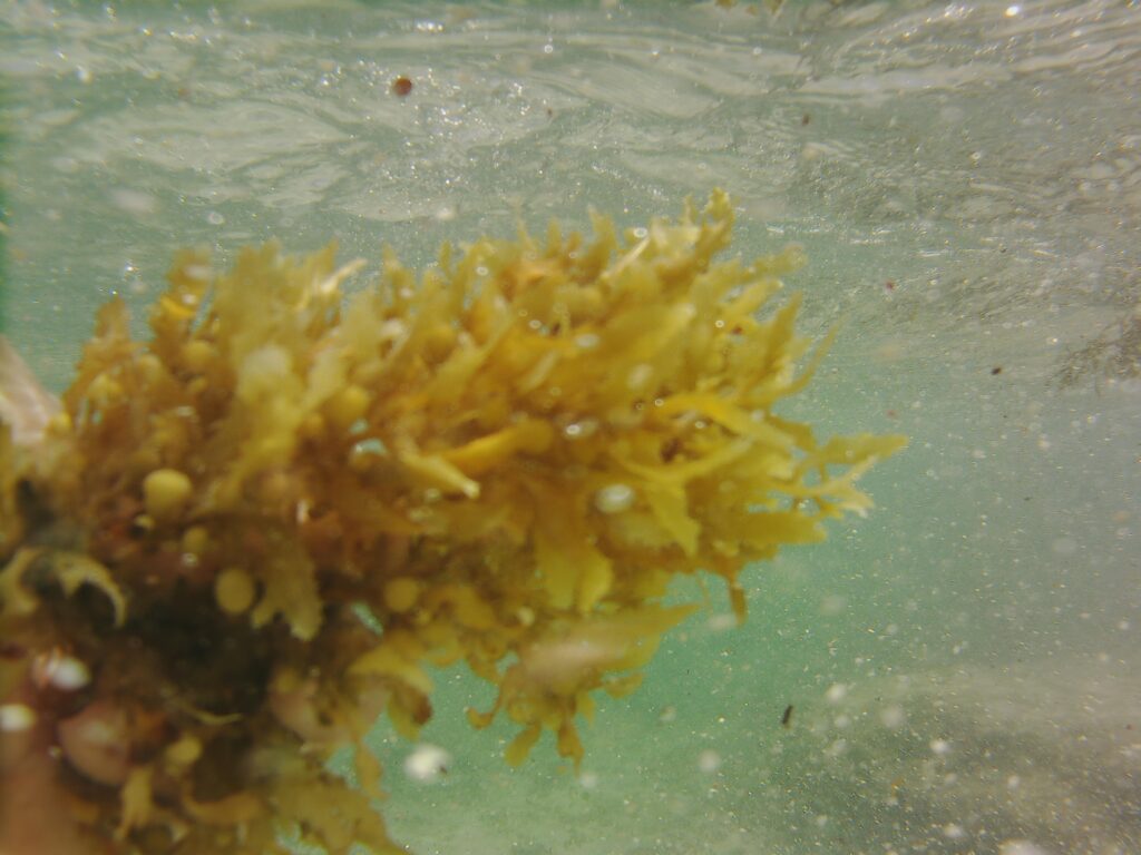 Video.Guru_20251204-115139765