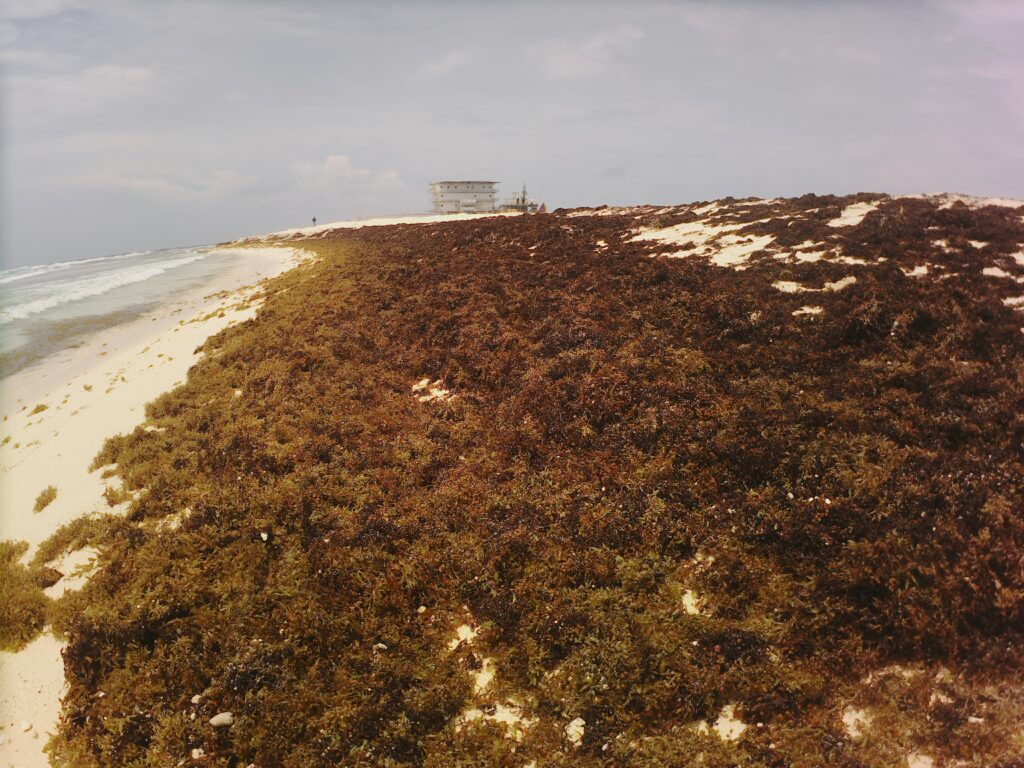 Video.Guru_20251204-115341321