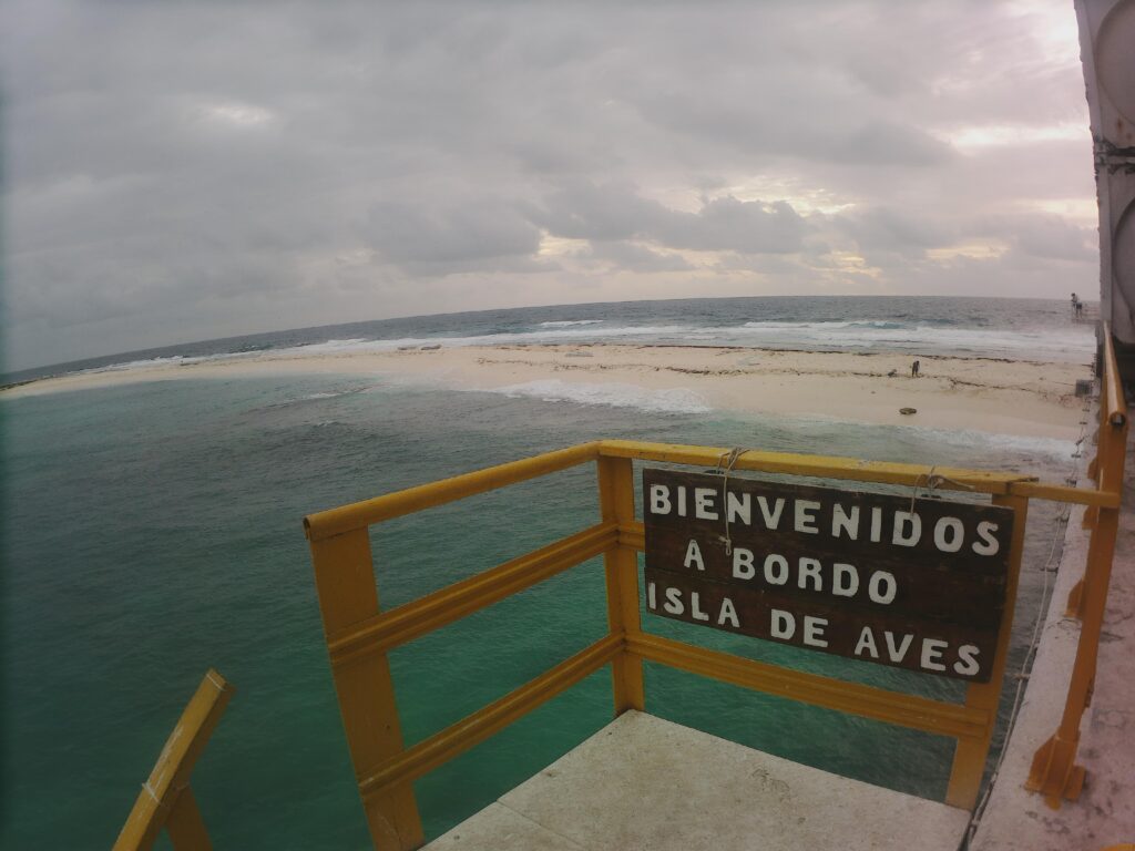 Video.Guru_20251204-115425908