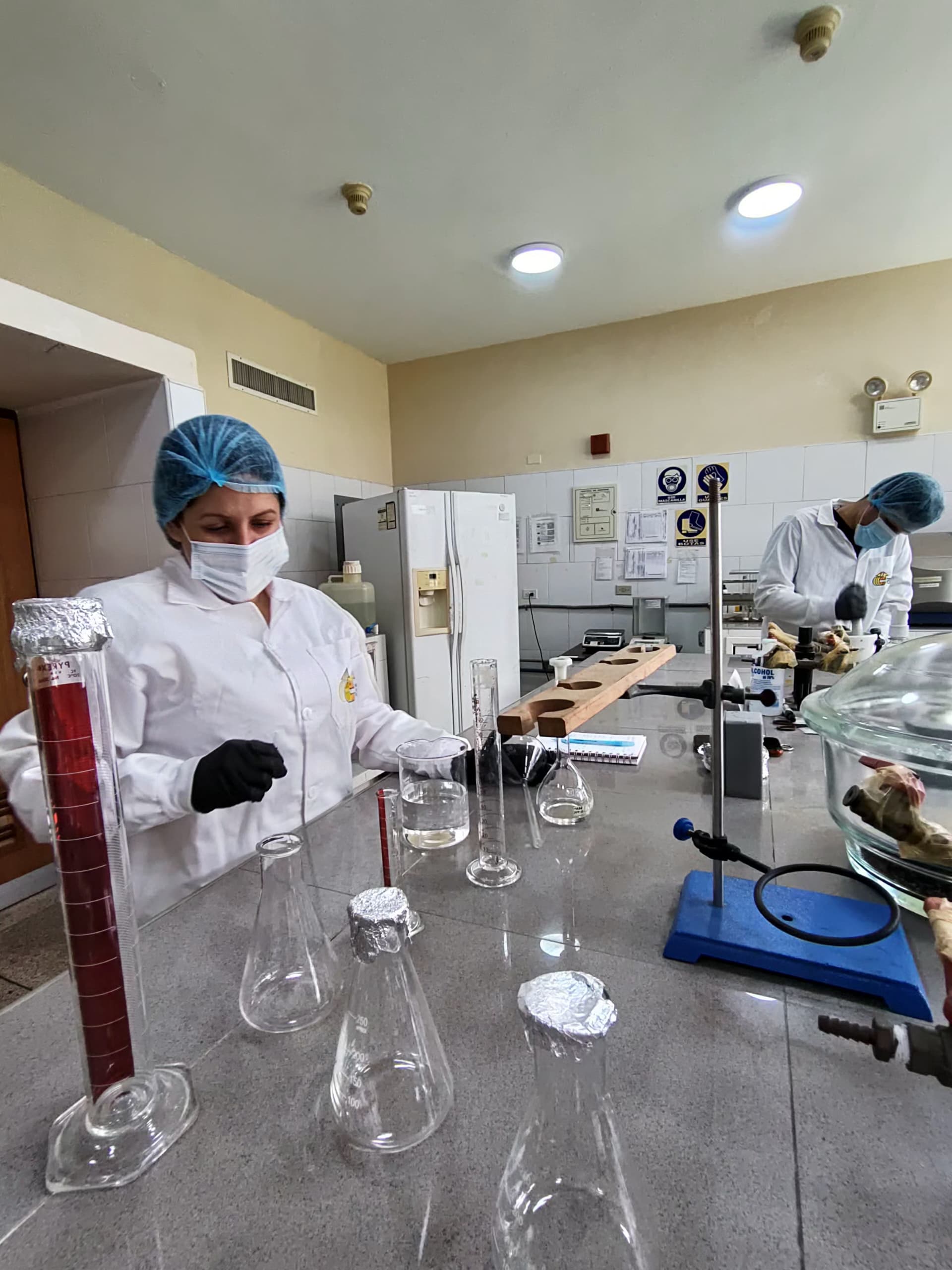 Fundación Ciepe evalúa propóleo de abejas como bioconservante natural