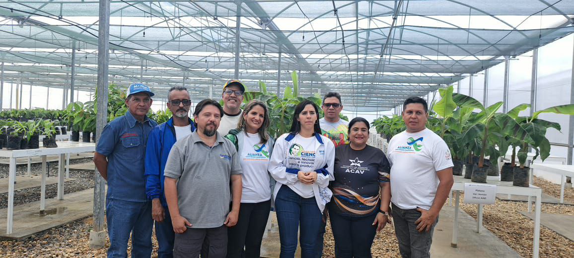 Mincyt entrega 7 mil plántulas de café, cacao y musáceas en Barinas para fortalecer soberanía agroalimentaria