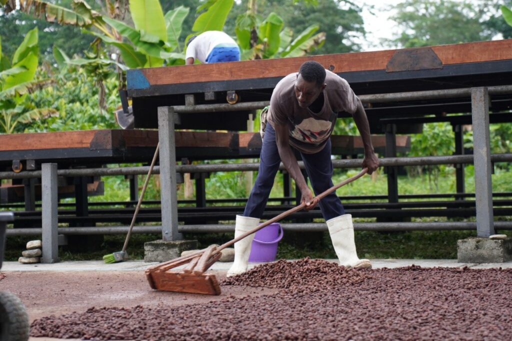 Aragua | Mincyt y Naciones Unidas participan en intercambio de saberes con productores de cacao en Cumboto