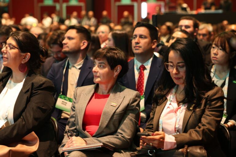 photo_2025-12-04_13-53-10